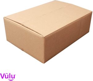 21″-22″ TFT Monitor Widescreen Flatscreen TV LED Box Packaging Box & Inflatable Protection Air Sac Pack – Shipping Courier Postal Box