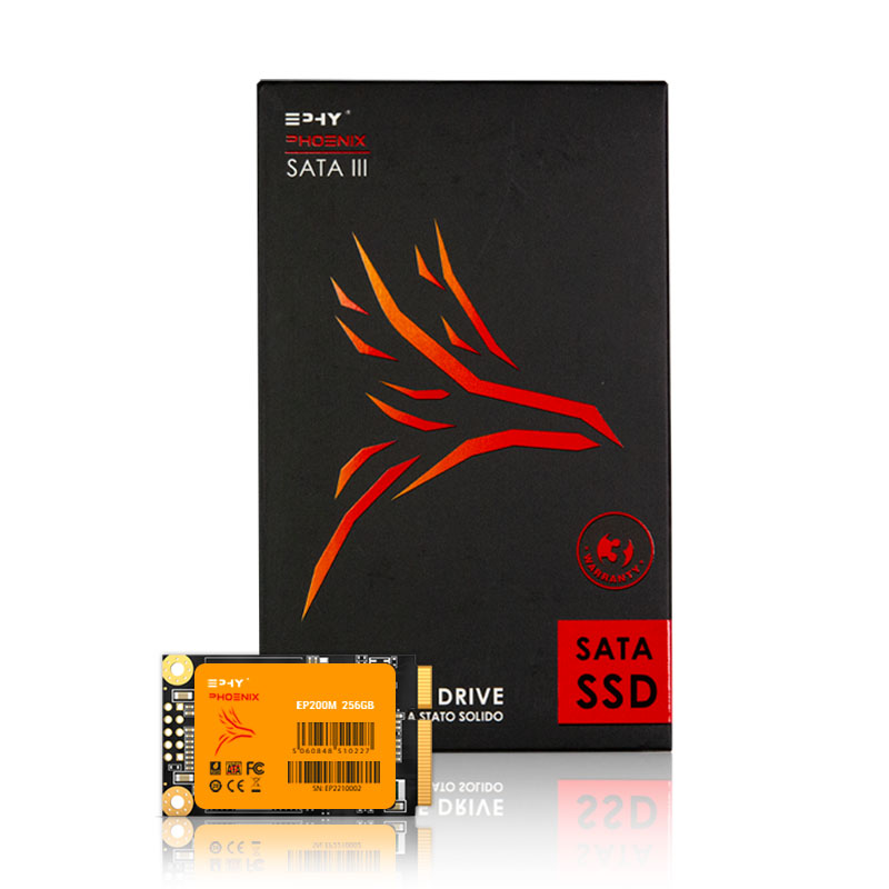 EPHY Phoenix 256GB mSATA SSD SATA III Internal Solid State Drive